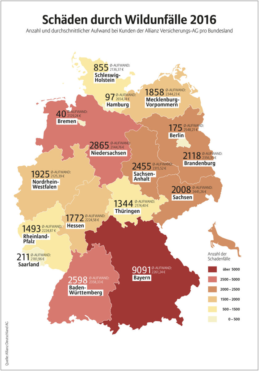 Schäden durch Wildunfälle 2016 Allianz