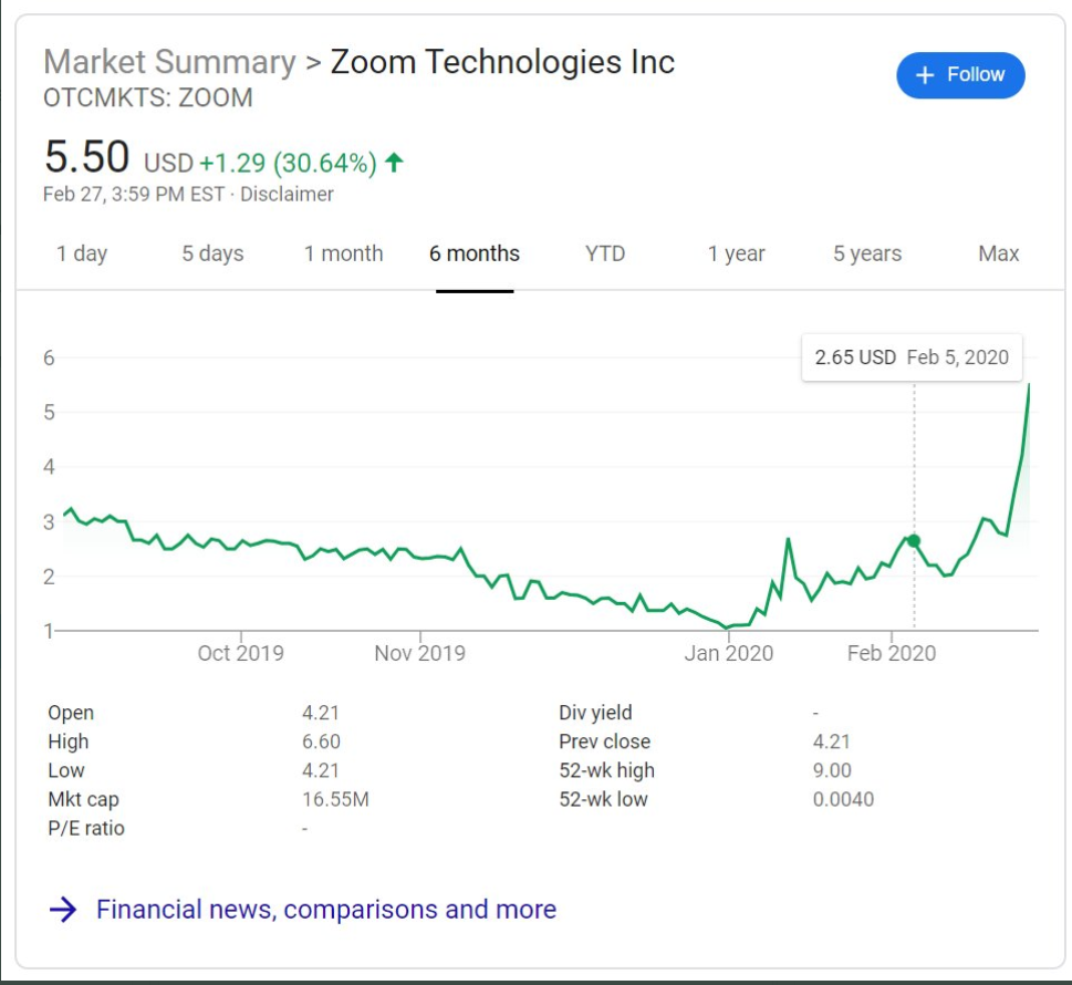 Zoom Fake Aktie
