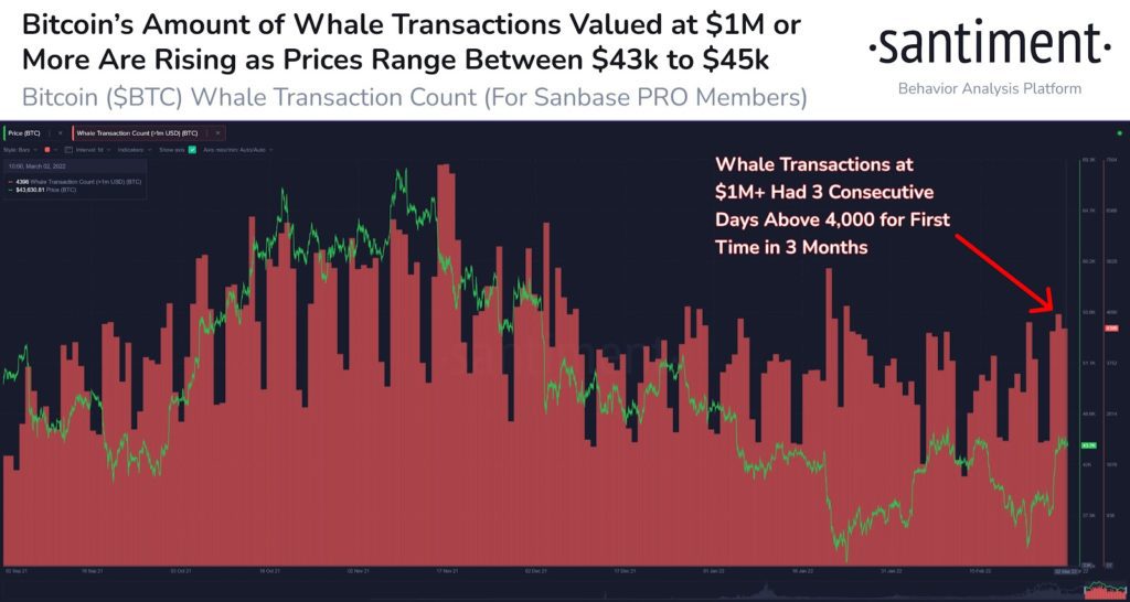 Bitcoin-Wale werden aktiver