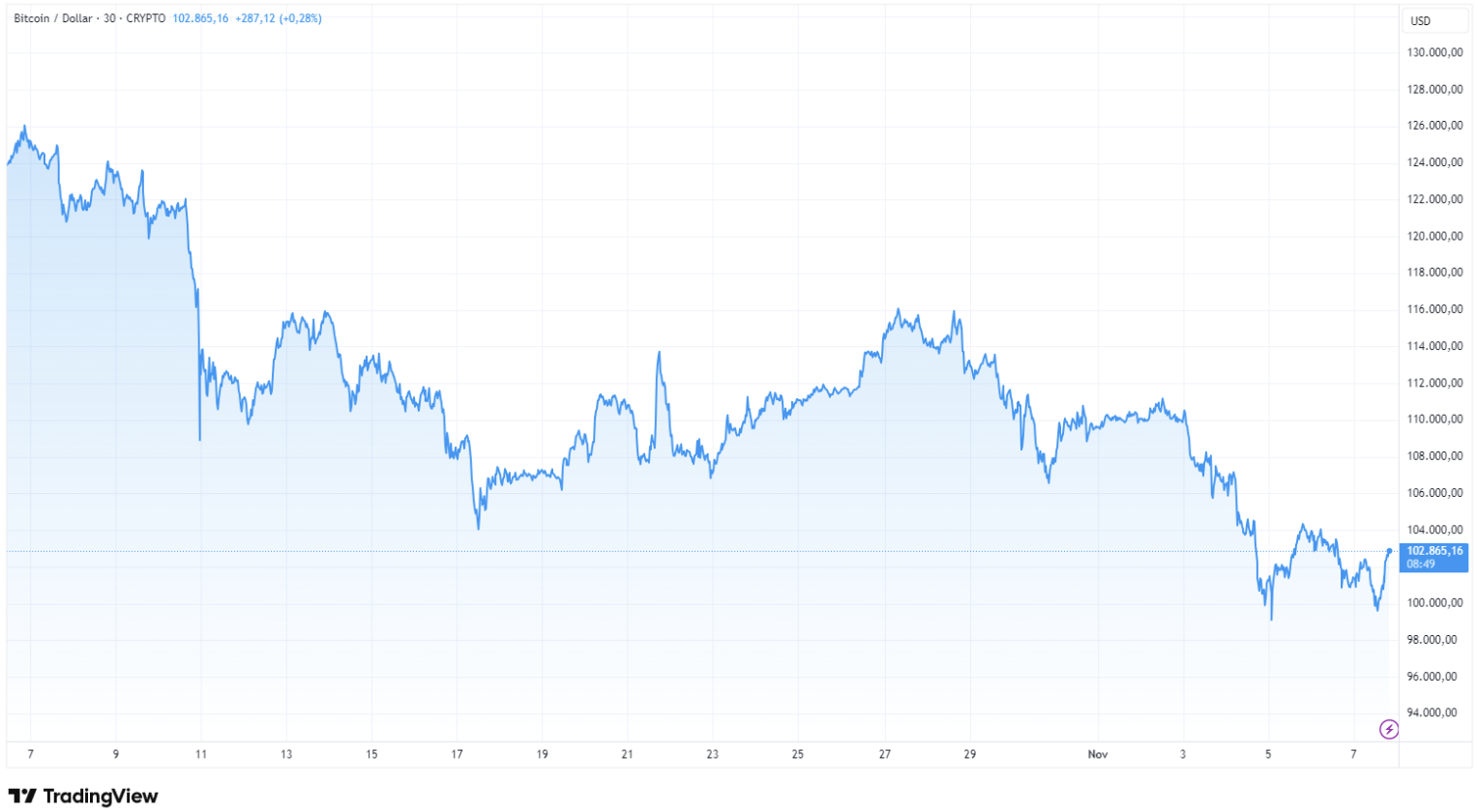Im letzten Monat hat Bitcoin deutlich vom Hoch bei 125.966 US-Dollar verloren.