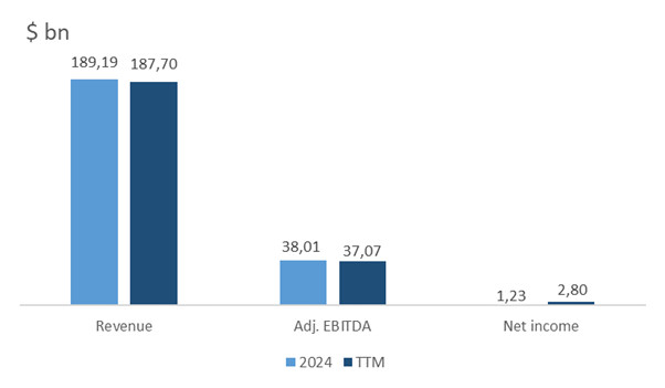 Finanzindikatoren des Unternehmens; Quelle: Erstellt vom Autor